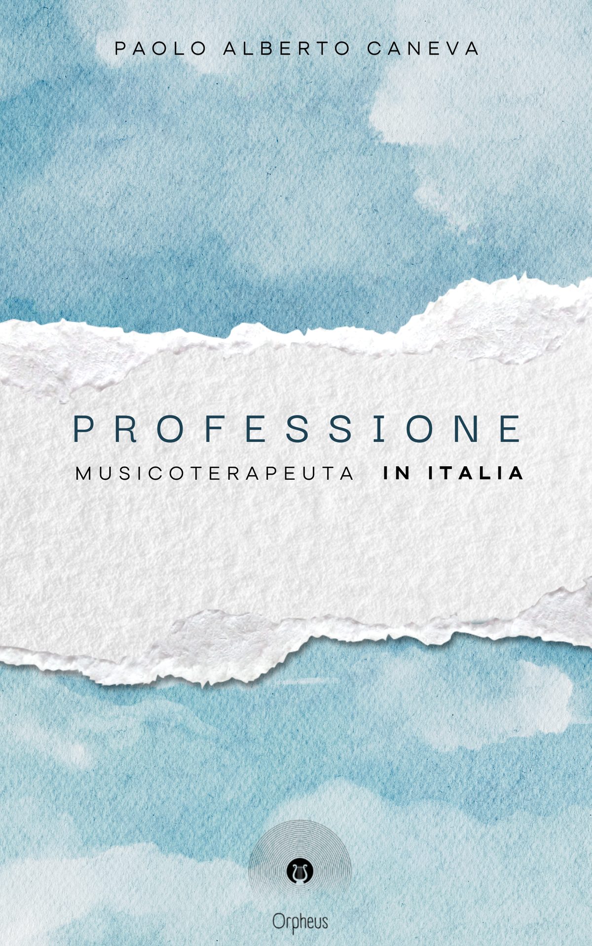 Copertina di «Professione musicoterapeuta in Italia»